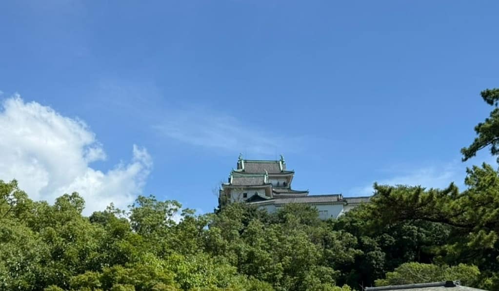 오사카 와카야마 1박 2일: 짧지만 알찬 핵심 코스 완벽 가이드 2 오사카 와키야마성