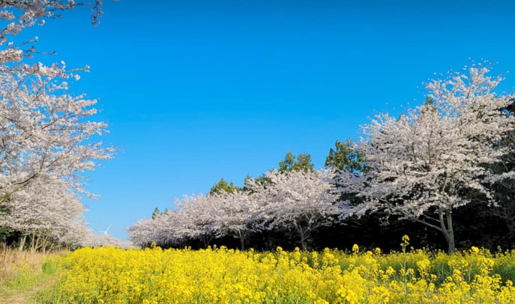 제주 전농로 & 녹산로 제주 전농로 & 녹산로