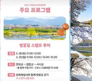 구례 300리 벚꽃축제: 다채로운 프로그램, 교통, 주차, 그리고 주변 관광지 7 구레 300리 벗꽃 축제 주요 프로그램