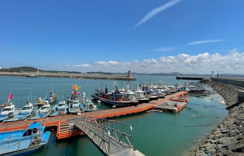 서천 동백꽃 주꾸미 축제: 봄꽃과 제철 별미 만끽 가이드 6 마량진항