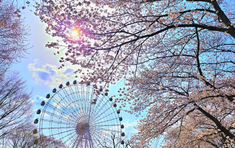 광주패밀리랜드 우치공원 광주패밀리랜드 우치공원