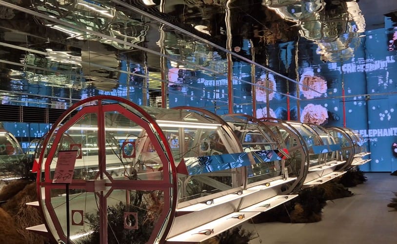 블루엘리펀트 디자인 철학: 브랜드의 개성 블루엘리펀트 디자인 철학: 브랜드의 개성