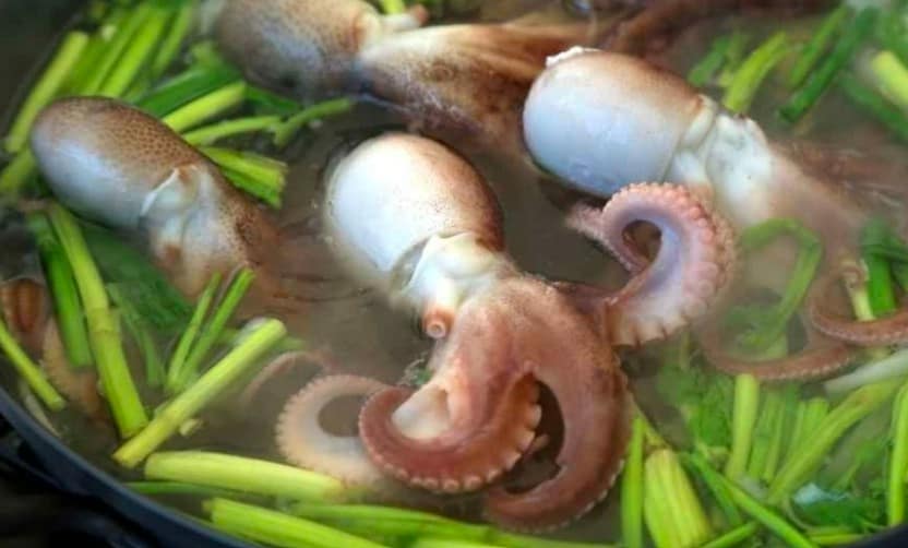 서천 동백꽃 주꾸미 축제: 봄꽃과 제철 별미 만끽 가이드 4 서천주꾸미