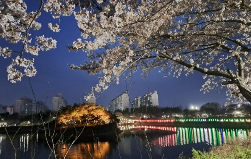 쌍암공원: 도심 속 벚꽃 나들이 명소 쌍암공원: 도심 속 벚꽃 나들이 명소