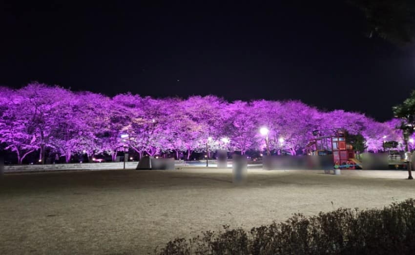 괴산 문방천 괴산 문방천