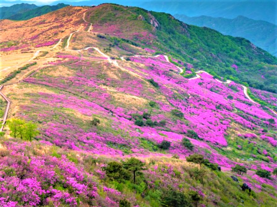 황매산 정상에서 바라본 풍경 황매산 정상에서 바라본 풍경