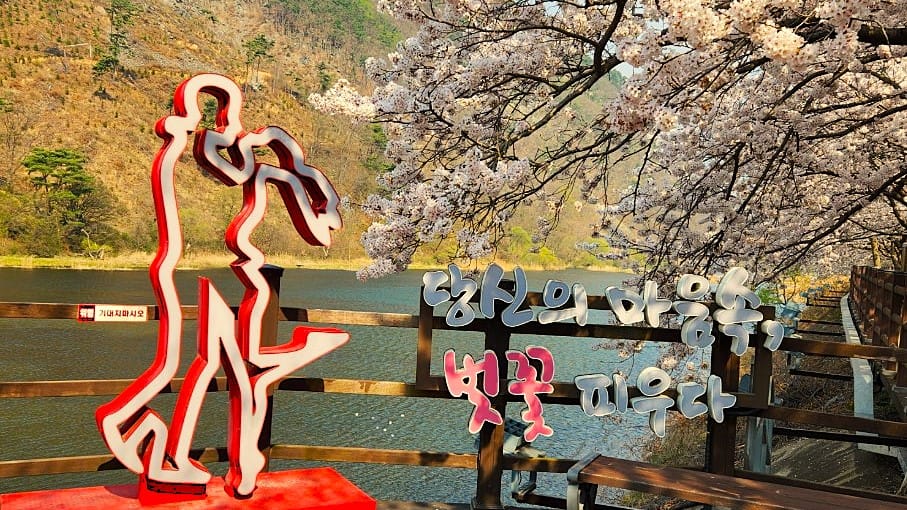 보령 주산벚꽃/봄날의 절정!/놓치면 후회!/ 4 당신의 마음속、 벗꽃 피우다